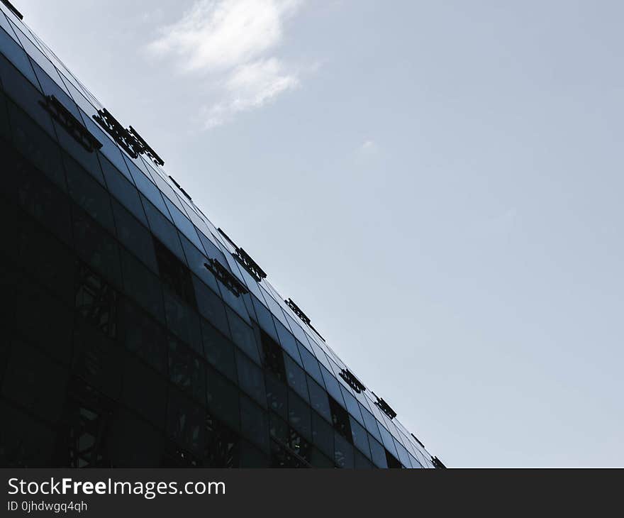 Architectural Photo of Curtain Wall Building Under Blue Sky With White Clouds