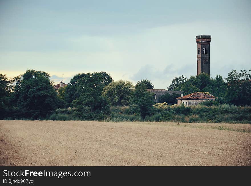 Brown Field Near Trees