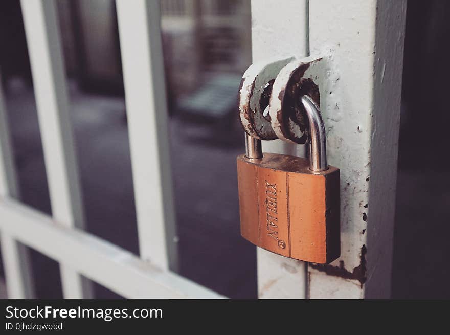 Closeup Photography of White Gate With Brass-colored Padlock