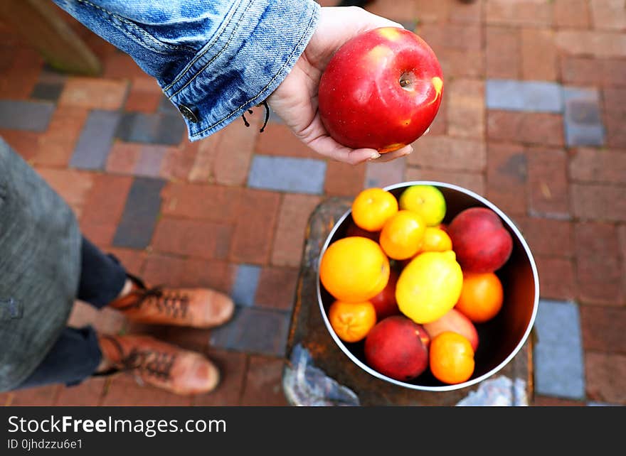 Person Holding Apple Fruit