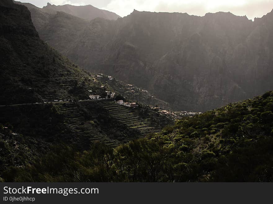 Green Trees Near Mountain at Daytime