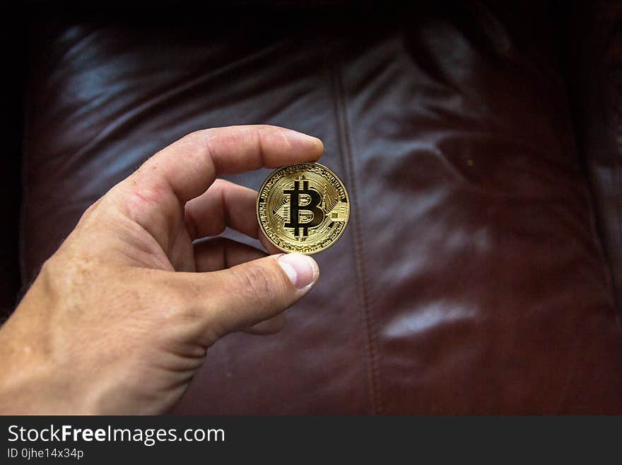 Round Gold-colored and Black Coin on Person&#x27;s Hand