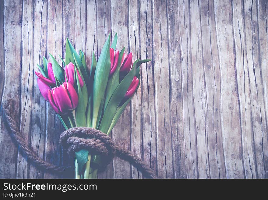 Red Tulip Bouquet on Top of Brown Wooden Surface