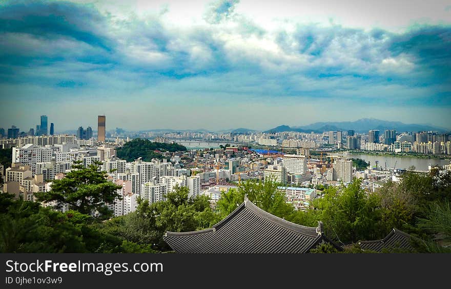 White City Buildings Photo