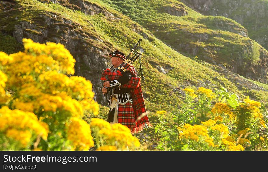 Photo of a Man in Red, Black, and White Plaid Traditional Suit on Yellow Flower Field