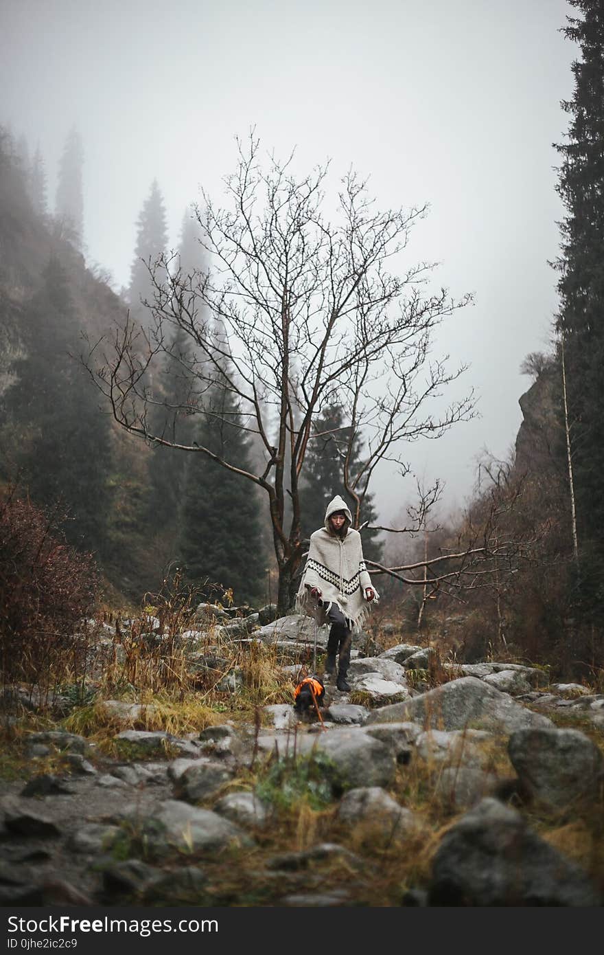 Person in White Cardigan N Near Tree