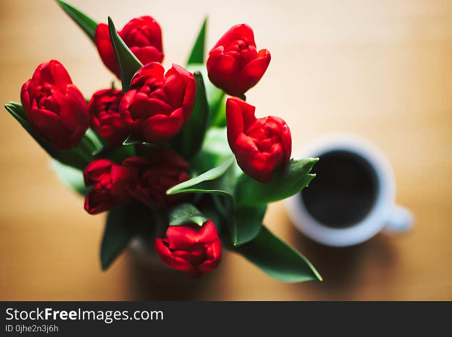 Red Tulip Bouquet Beside White Ceramic Cup Full of Black Liquid