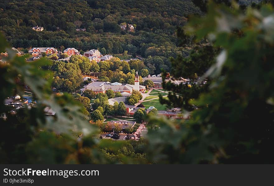 Depth of Field Photography of Church Surrounded of Tall Trees