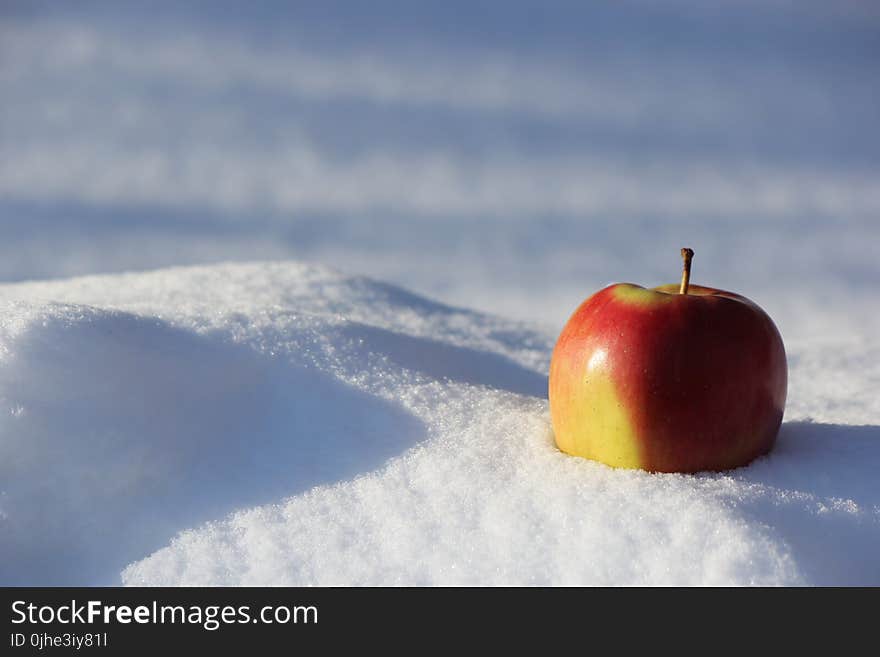 Selective Focus Photography of Red Apple on Snow