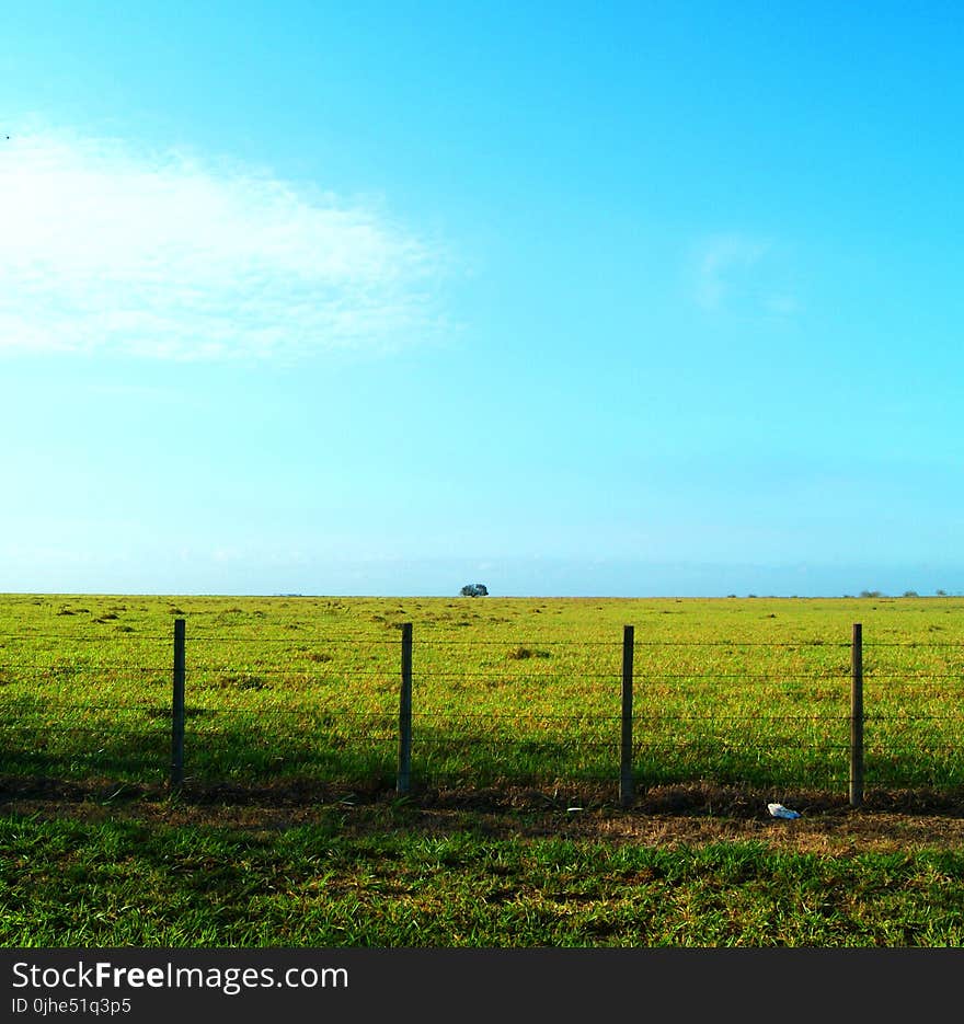 Greenfield Behind Blue Sky