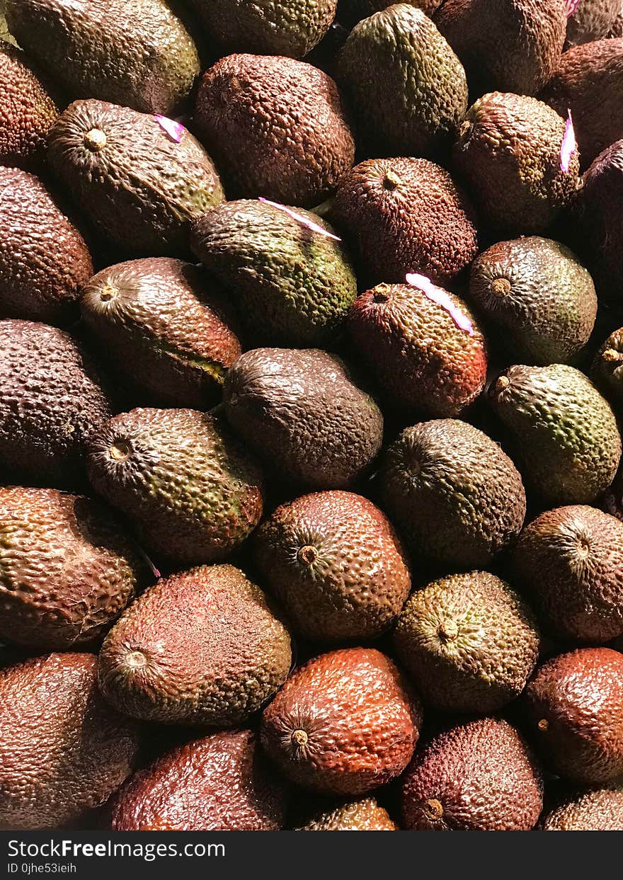 Avocado Lot