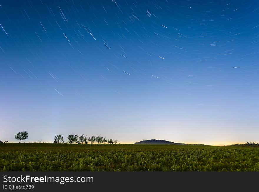 Time-lapse Photography of Field With Trees and Grasses