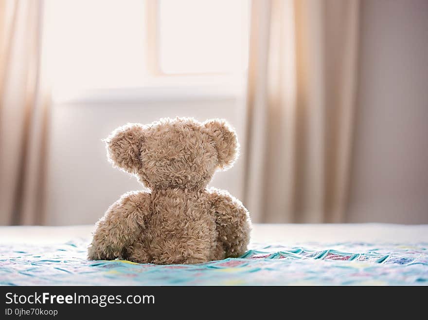 Brown Bear Plush Toy On Bed