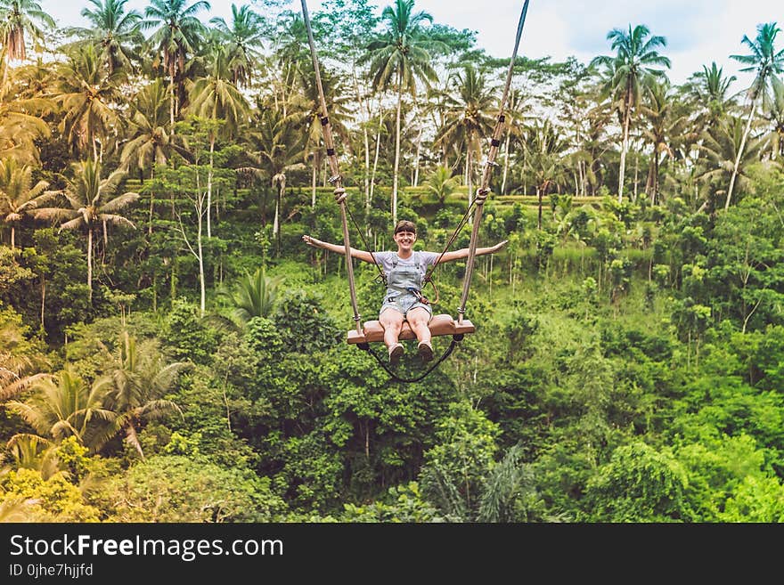 Person In Grey Shirt Surrounded By Green High Trees