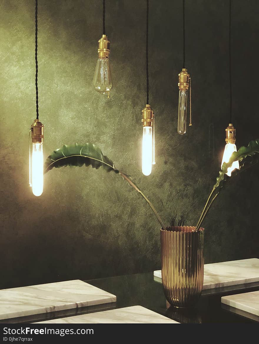 Green Leaves in Glass Vase Under Clear Bulb Pendant Lamps