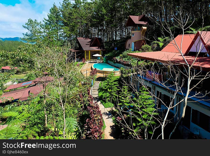 View of Swimming Pool and Cottages in Resort