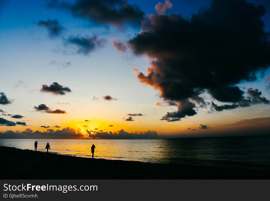 People Standing on Seashore during Sunset