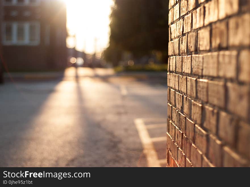 Close-up Photography of Brickwall