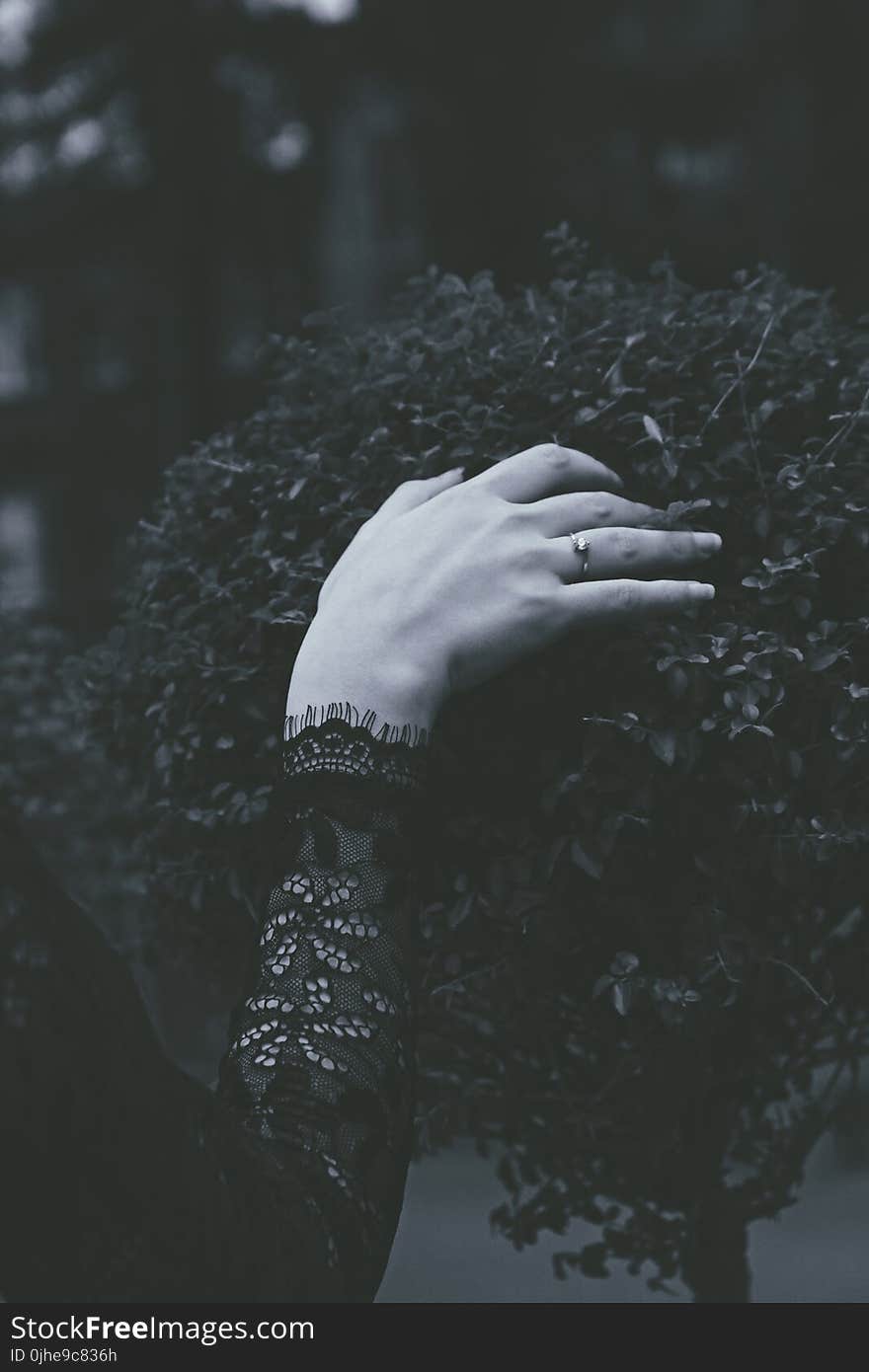 Grayscale Photography Of A Person Wearing Black Long-sleeved Top