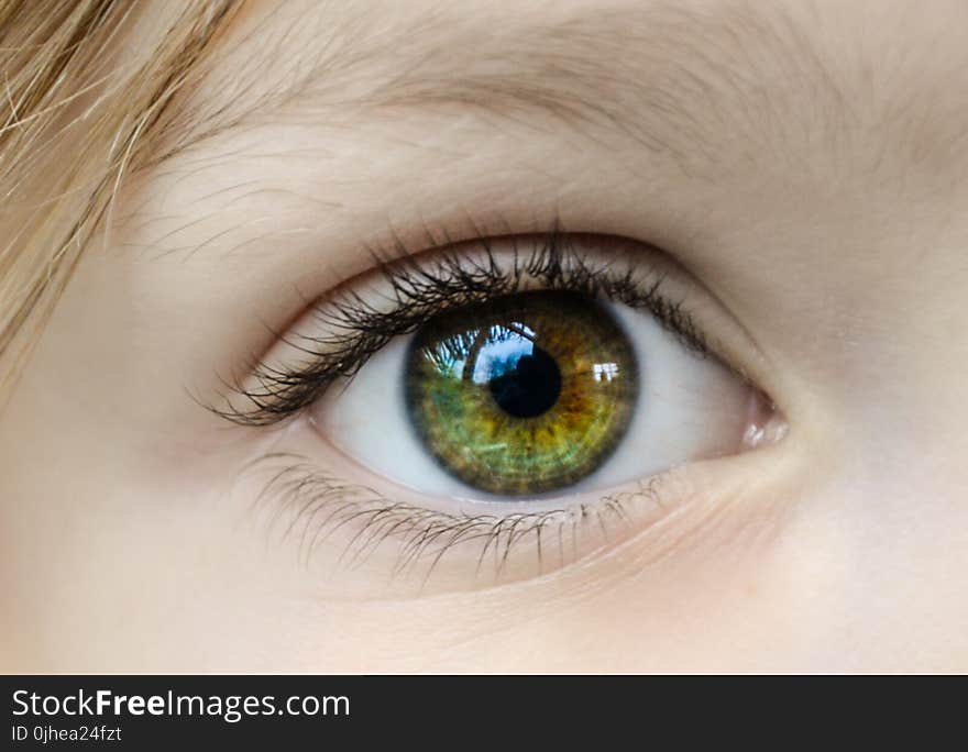 Closeup Photo of Human Eye