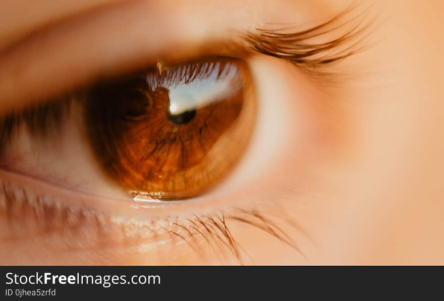 Close-up Photo of Unpaired Brown Eye