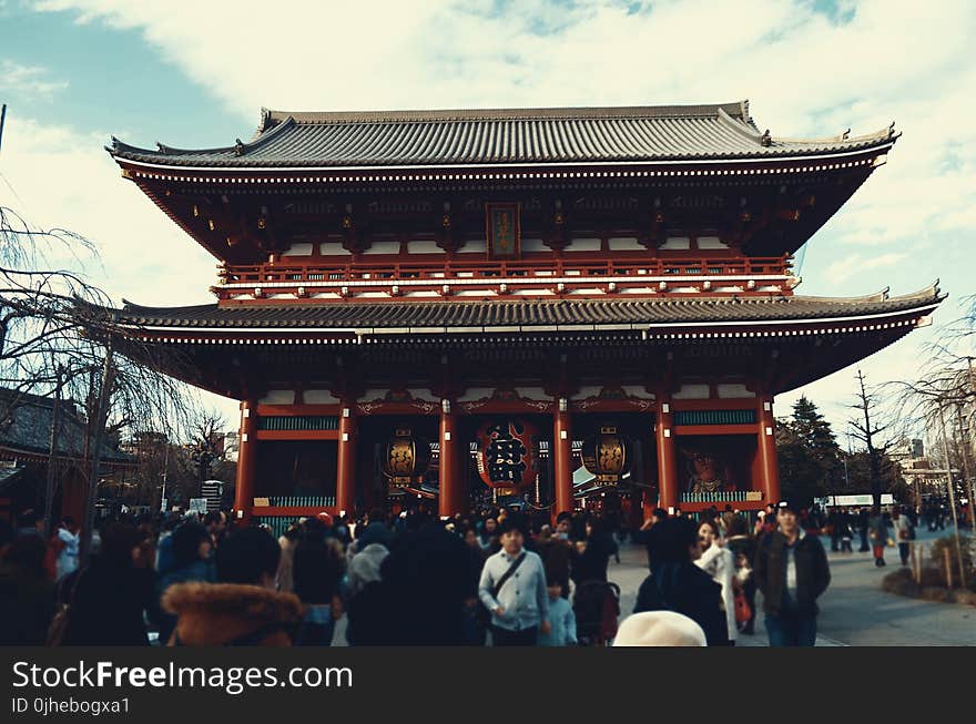 Photo of People in Temple, Japan