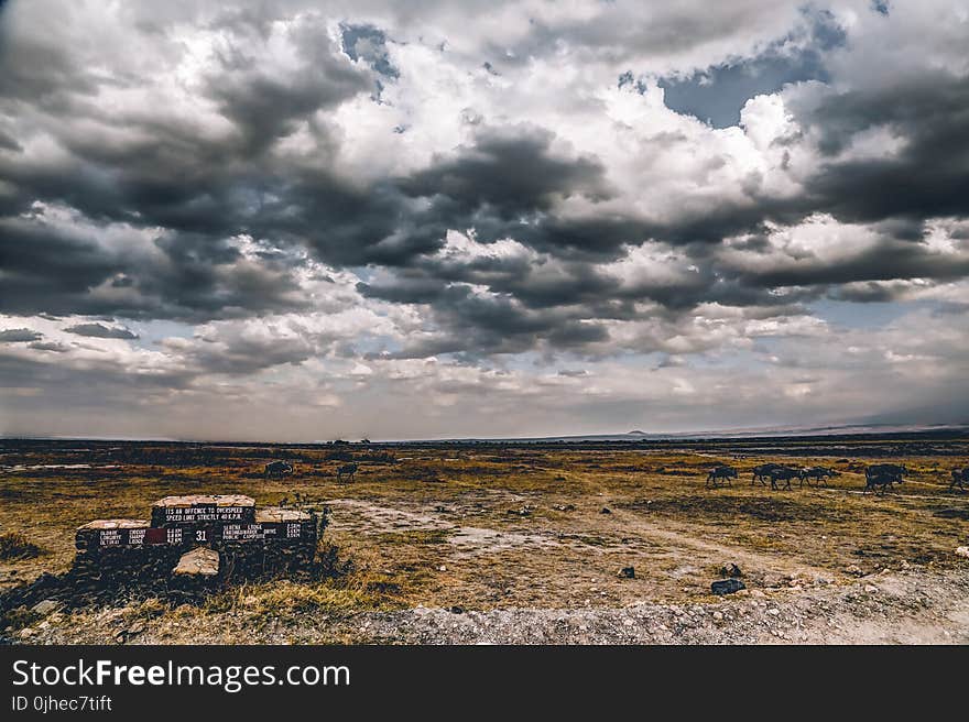 Photography of Cloudy Skies