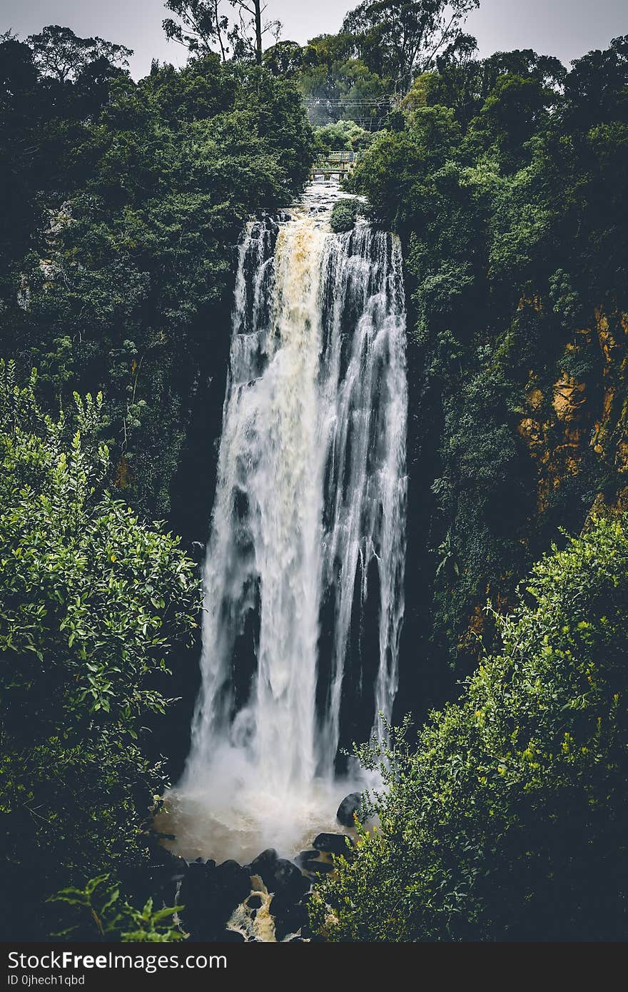 Waterfall Between Trees