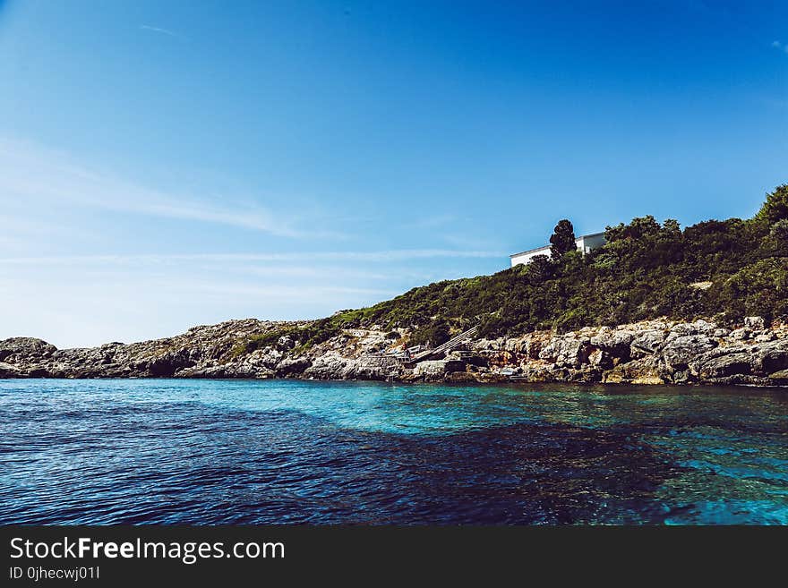 Green Leaf Trees Near Sea at Daytime