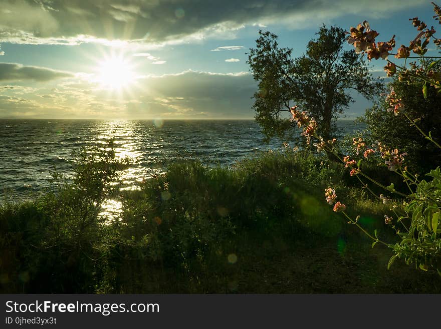 Sun Ray Hitting Body of Water Green Grass Trees White Clouds during Sunrise