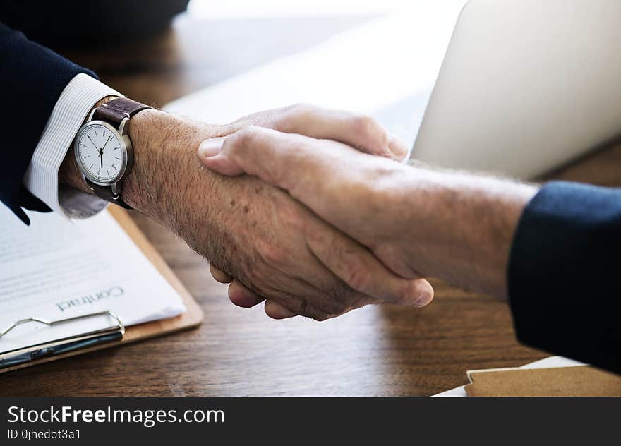 Person Shaking Hands