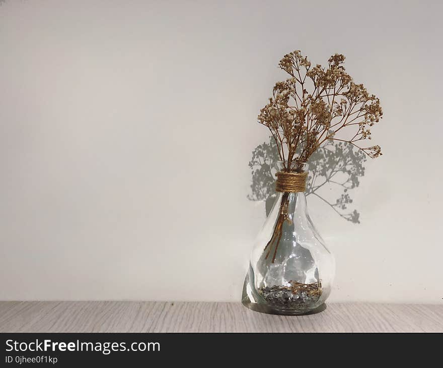 Dried Leaves on Glass Vase Beside Concrete Wall