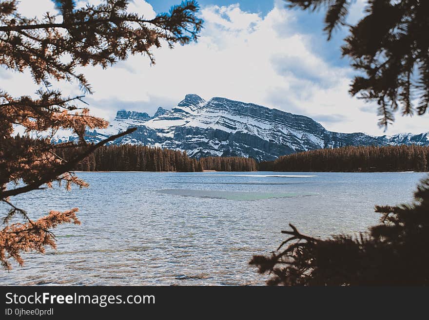 Body of Water Beside Brown Trees Near Mountain