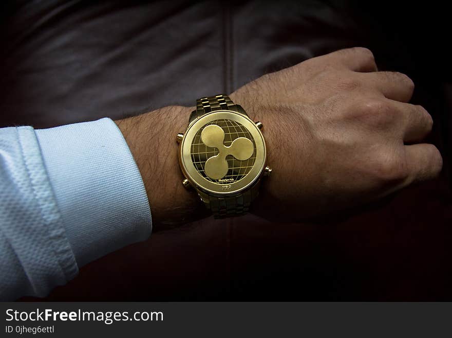 Person Wearing Round Gold Watch