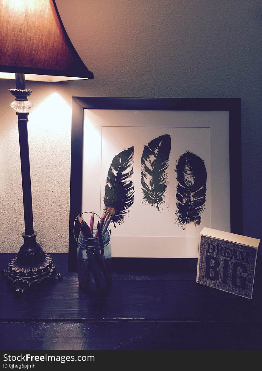 Black Feathers Painting Beside Brown and Black Lamp Shade