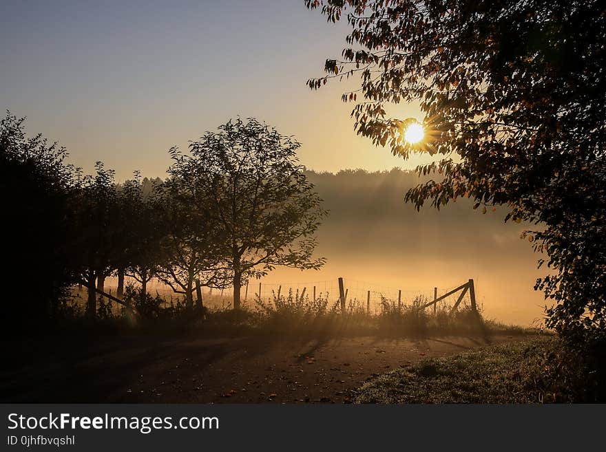 Sunrise, Sky, Morning, Dawn