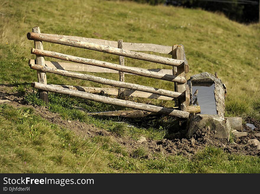 Grass, Pasture, Wood, Rural Area