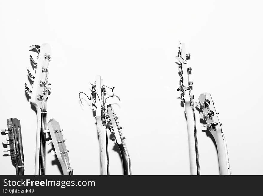 Black And White, Monochrome Photography, Monochrome, Branch