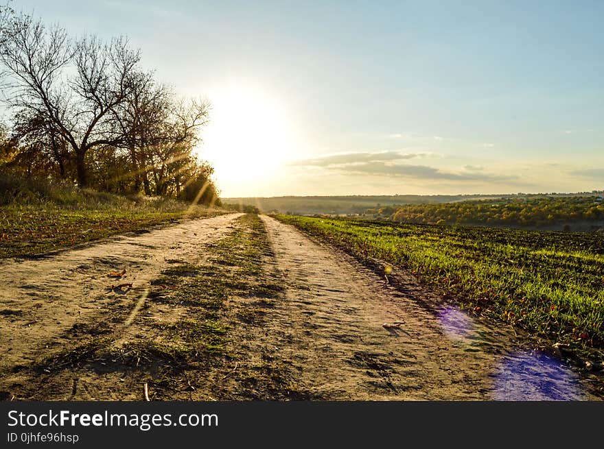 Sky, Road, Tree, Field