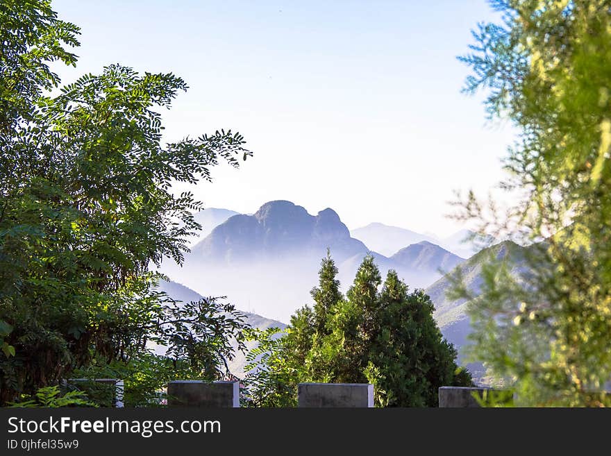 Nature, Tree, Sky, Mountainous Landforms