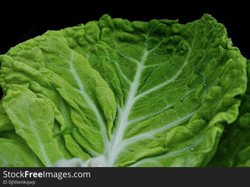 Vegetable, Leaf Vegetable, Leaf, Produce