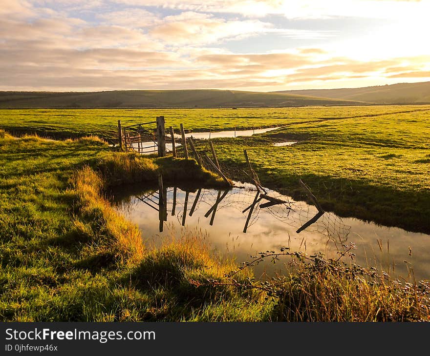 Wetland, Reflection, Grassland, Marsh