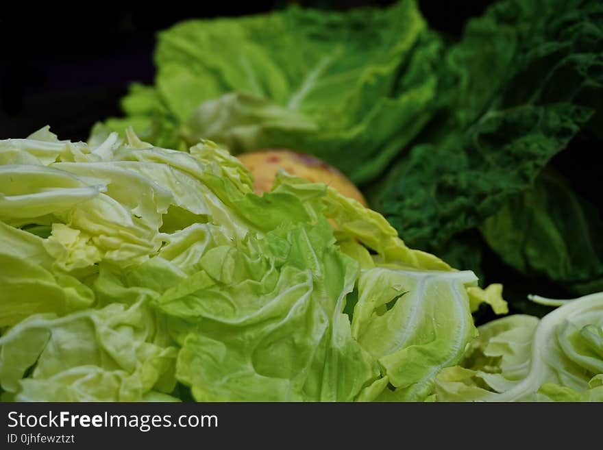 Vegetable, Leaf Vegetable, Cabbage, Romaine Lettuce