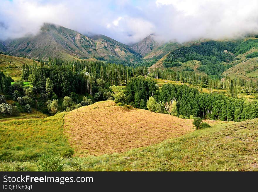 Highland, Grassland, Vegetation, Wilderness