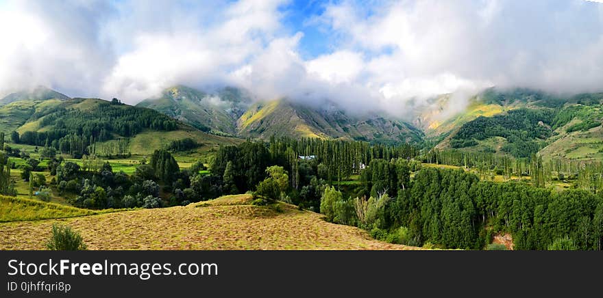 Highland, Vegetation, Mountainous Landforms, Mount Scenery