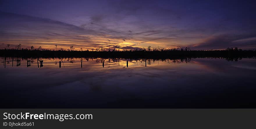 Silhouette of Trees at Sunset