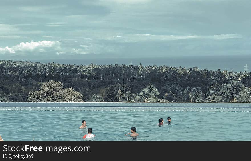 Group of People Swimming in Pool