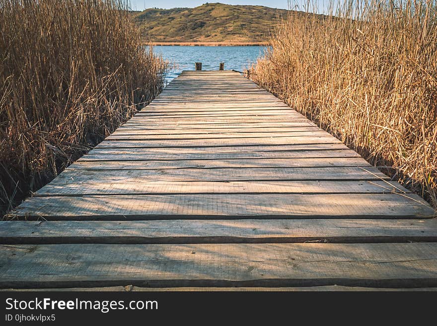 Brown Wooden Dock With Brown Grasses