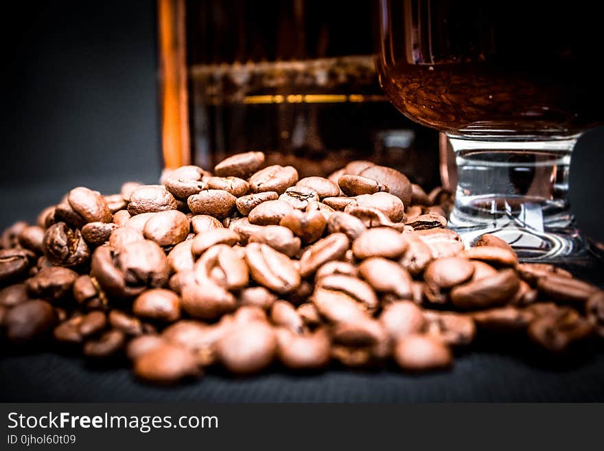 Depth of Field Photo of Coffee Beans