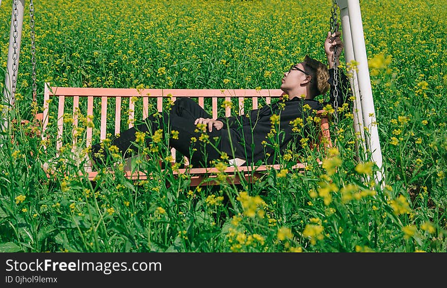 Man in White and Brown Canopy Swing Surrounded With Yellow Petal Flower